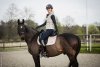 Potnik ujeżdżeniowy Velvet Balance Pad Dressage Style AW24 - Schockemohle - cardamon